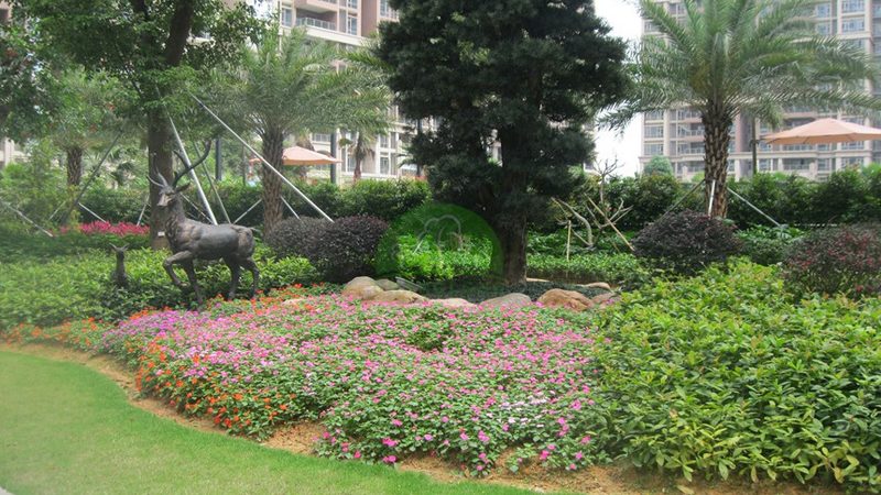 绿化工程预算报价明细：如何精准把握成本关键