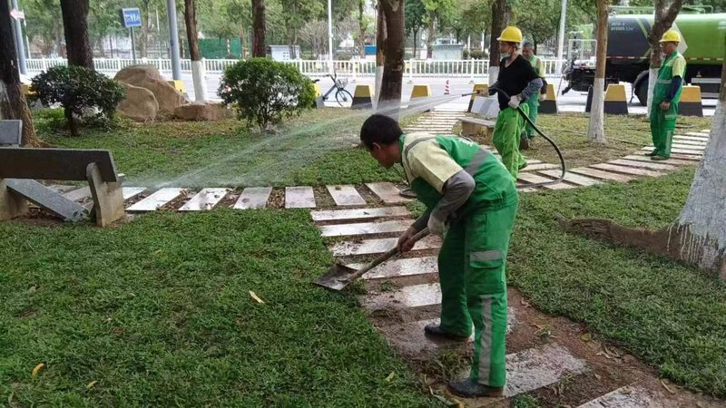 立体绿化养护工人培训：提升技能，守护城市绿肺**