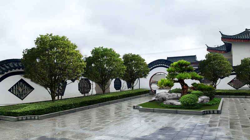 生态植物墙：不只是墙，更是绿色生命的艺术**