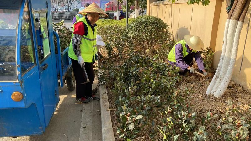 绿化工程公司资质解析：合规之路，保障工程品质**