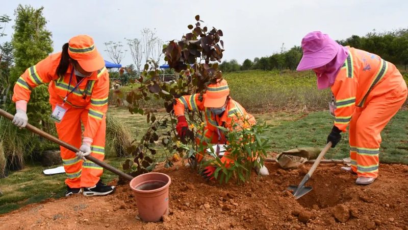 小区园林绿化施工：从规划到成活的秘密**