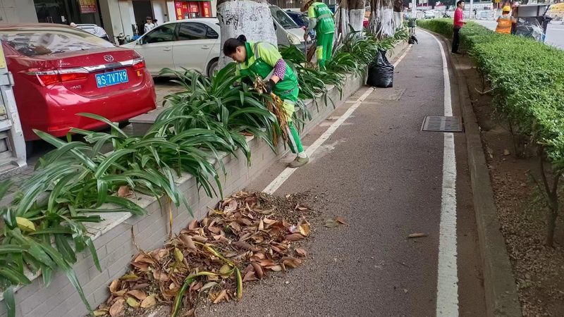 成都绿植租赁市场：揭秘排名背后的考量因素