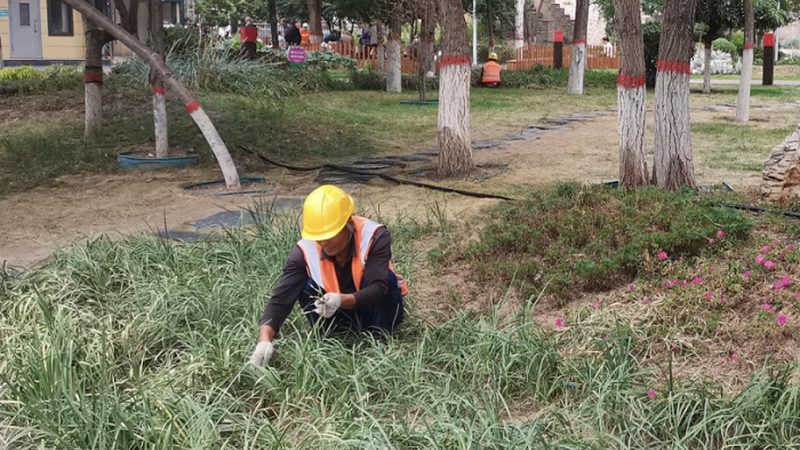 现代园林景观设计风格解析：探寻品质与美学的完美融合
