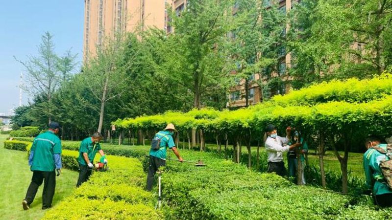 边坡喷播机与客土喷播机：本质区别与应用场景解析